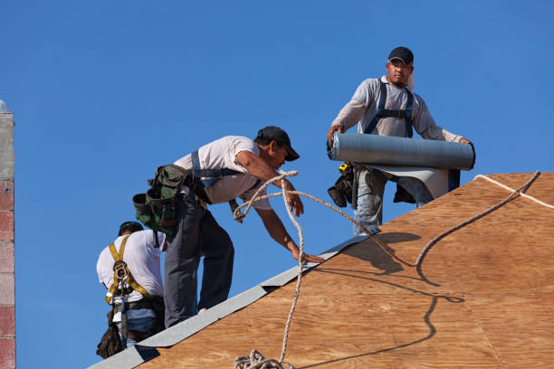 Best Roofing Contractor Near Me  in Oral City, FL